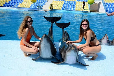 Delfinarium